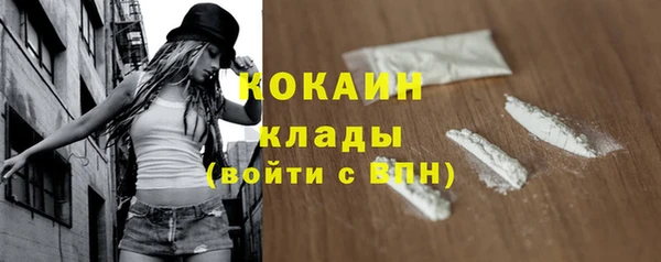 сатива Верхний Тагил