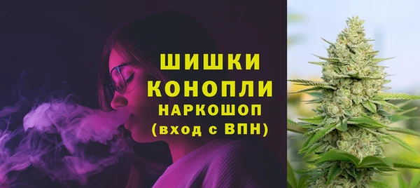 бошки Осташков