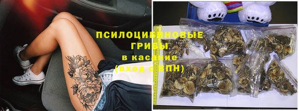 ПСИЛОЦИБИНОВЫЕ ГРИБЫ Осинники