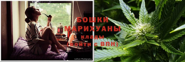 ПСИЛОЦИБИНОВЫЕ ГРИБЫ Осинники